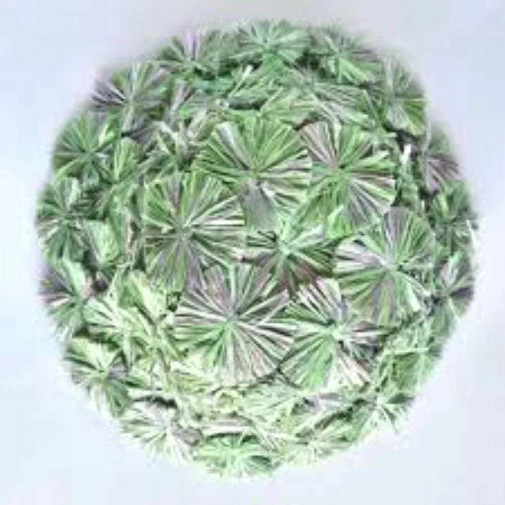 NWT Lele Sadoughi Straw Confetti Green Bucket Sun Vacation Hat - Picture 3 of 5